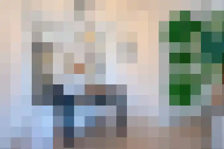 Steijnlaan 80 Breda thumbnail 8