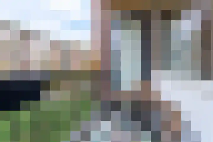 Steijnlaan 80 Breda thumbnail 9
