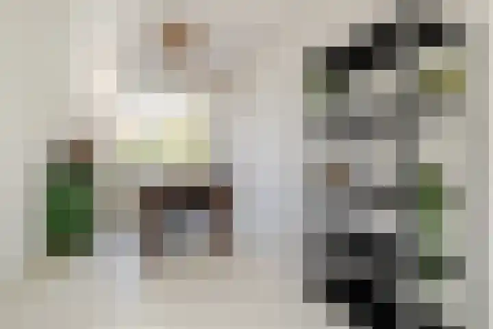 Steijnlaan 86 A Breda thumbnail 10