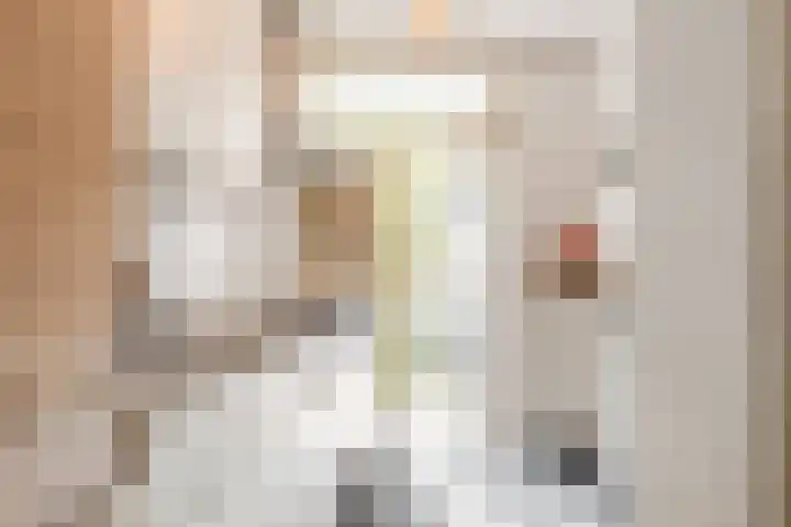 Steijnlaan 86 A Breda thumbnail 13