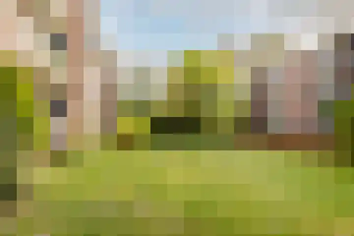 Steijnlaan 86 A Breda foto 2