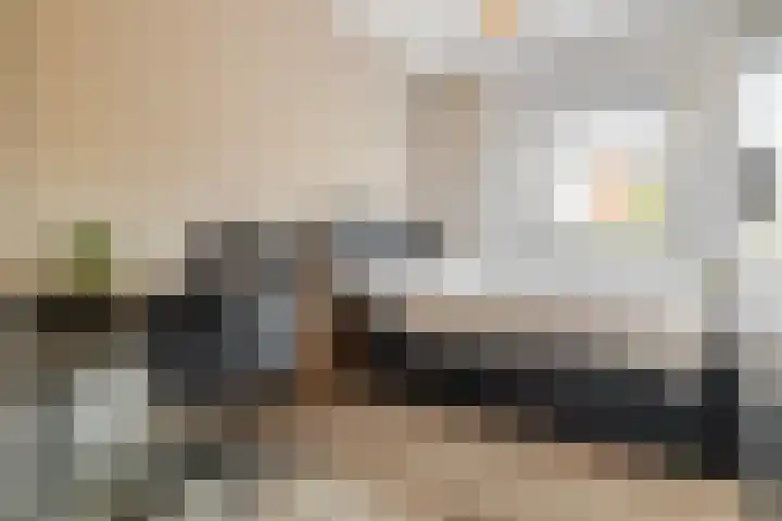 Steijnlaan 86 A Breda thumbnail 20