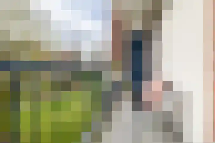 Steijnlaan 86 A Breda thumbnail 21