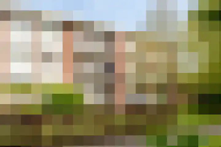 Steijnlaan 86 A Breda thumbnail 25