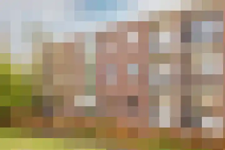 Steijnlaan 86 A Breda thumbnail 28