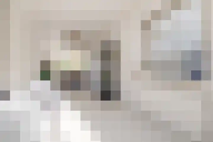 Steijnlaan 86 A Breda thumbnail 9