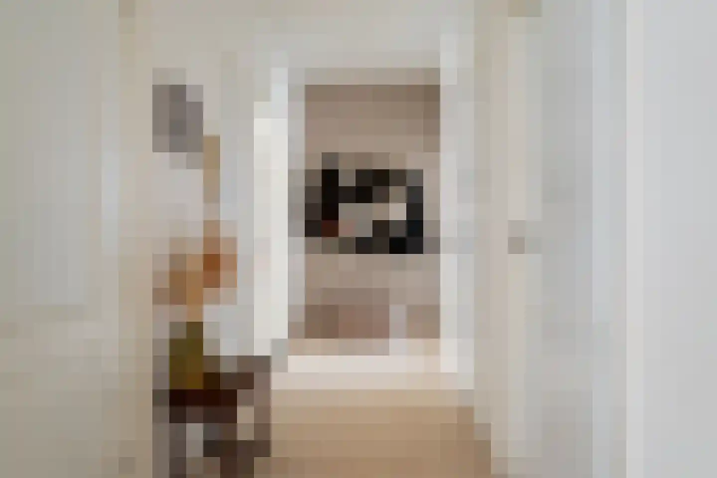 Steijnlaan 86 Breda thumbnail 10