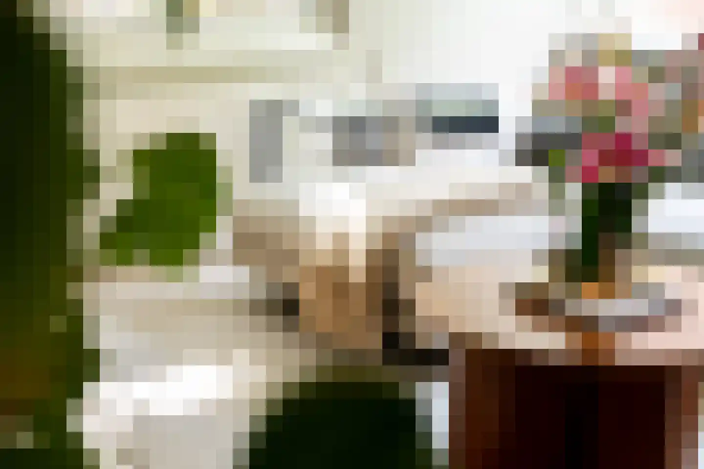 Steijnlaan 86 Breda thumbnail 18