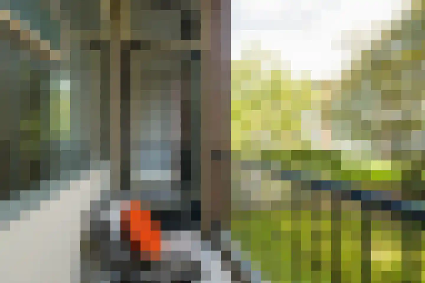 Steijnlaan 86 Breda thumbnail 23