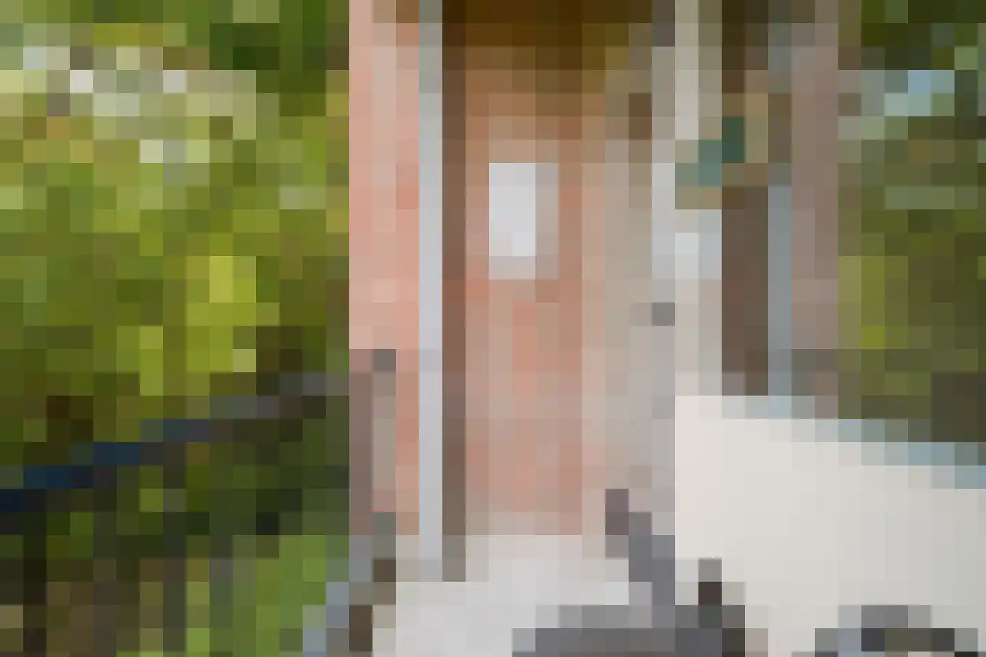 Steijnlaan 86 Breda thumbnail 24