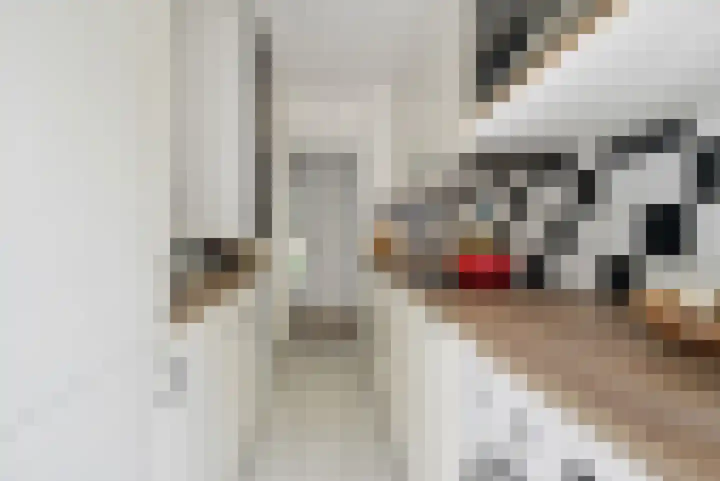 Steijnlaan 86 Breda thumbnail 29