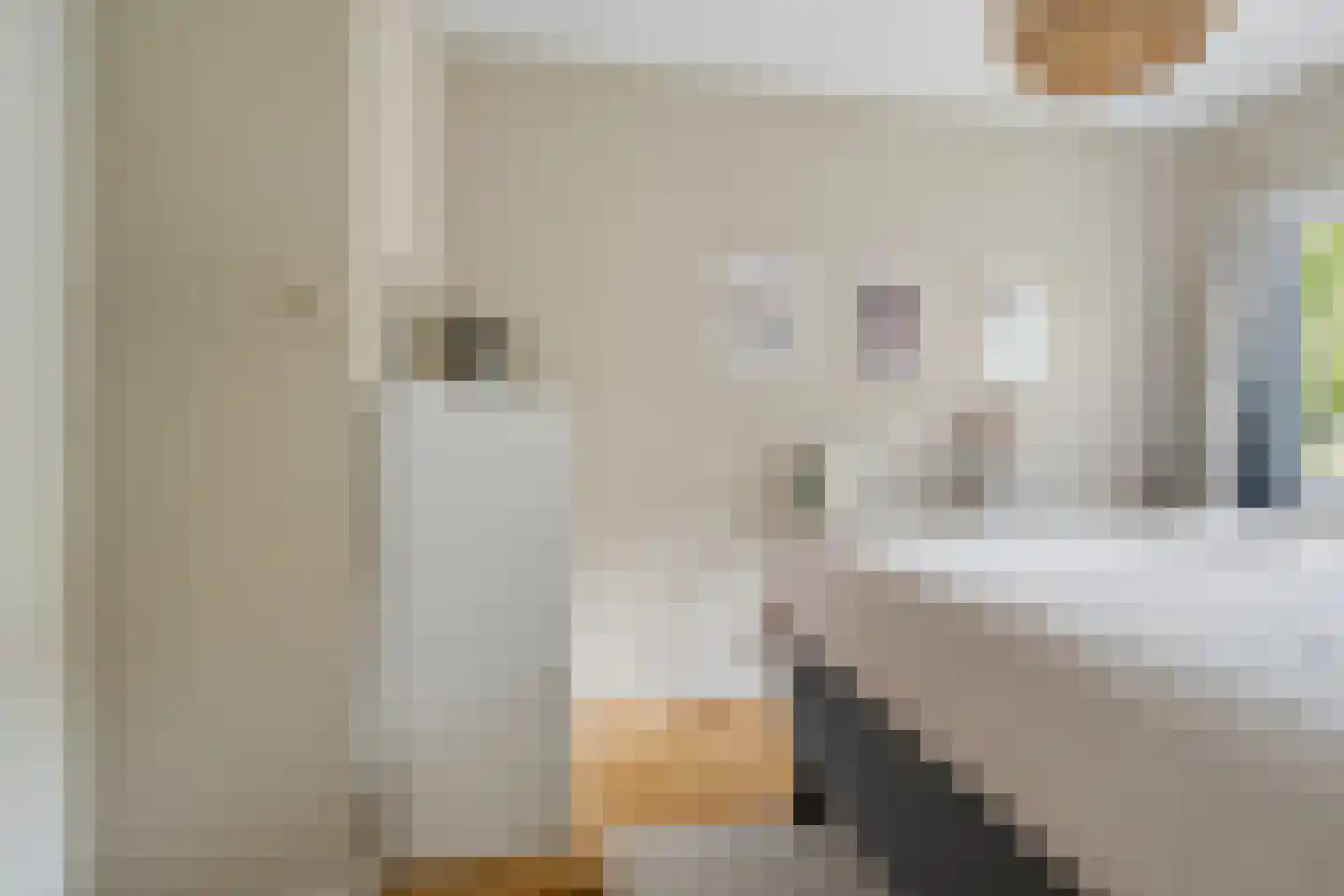 Steijnlaan 86 Breda thumbnail 31