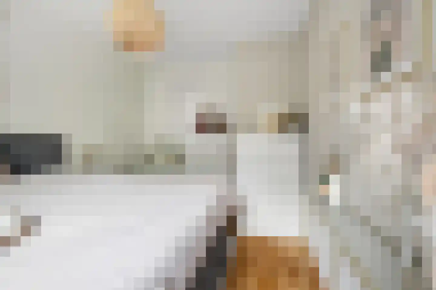 Steijnlaan 86 Breda thumbnail 32