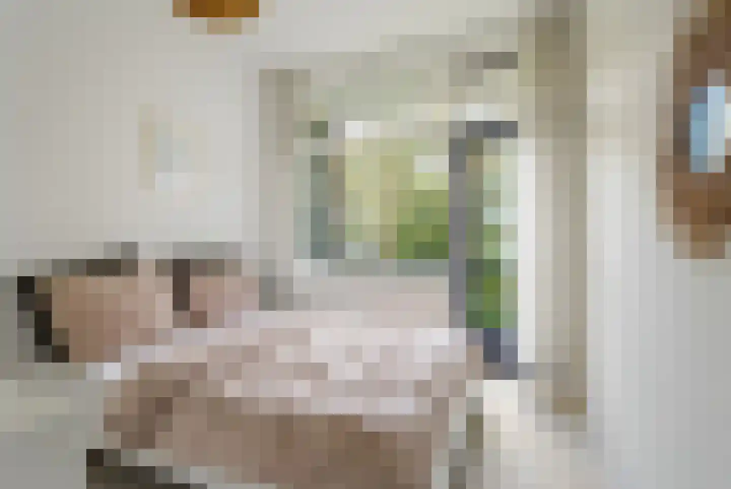 Steijnlaan 86 Breda thumbnail 33