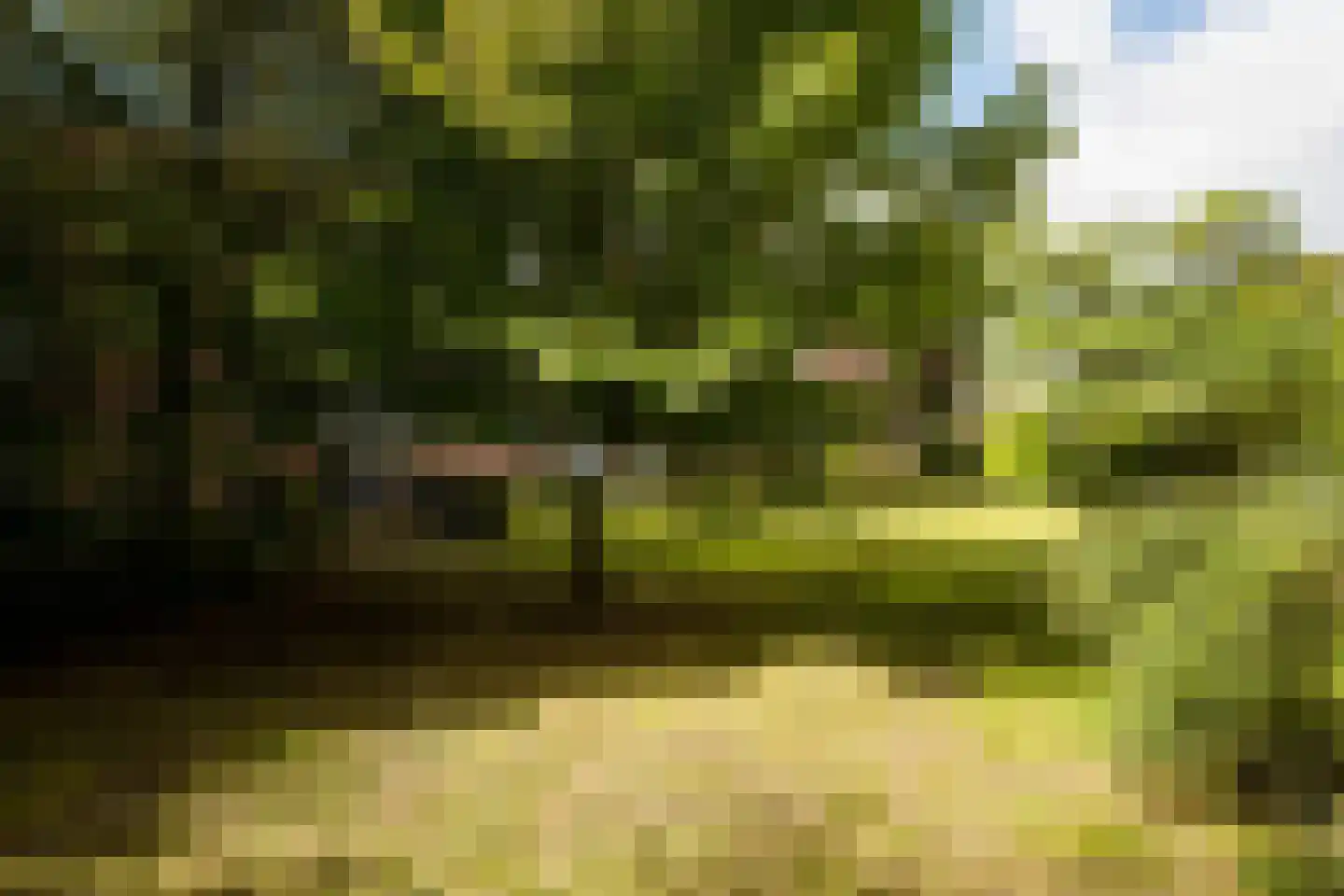 Steijnlaan 86 Breda thumbnail 36