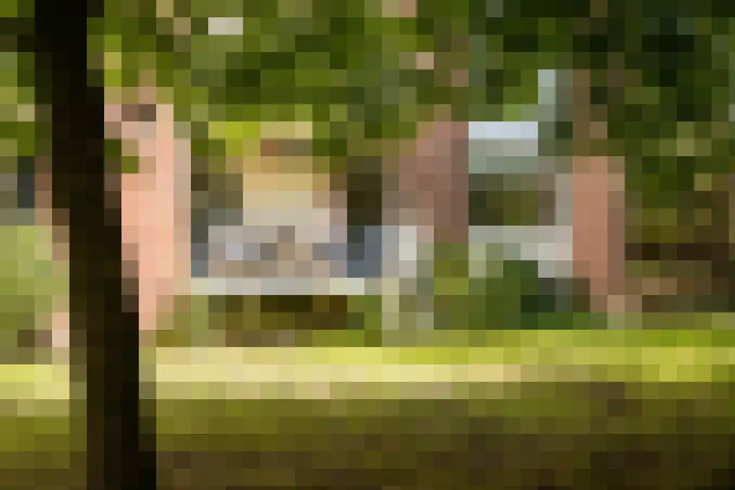 Steijnlaan 86 Breda thumbnail 37