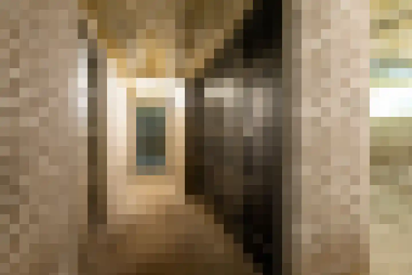 Steijnlaan 86 Breda thumbnail 41