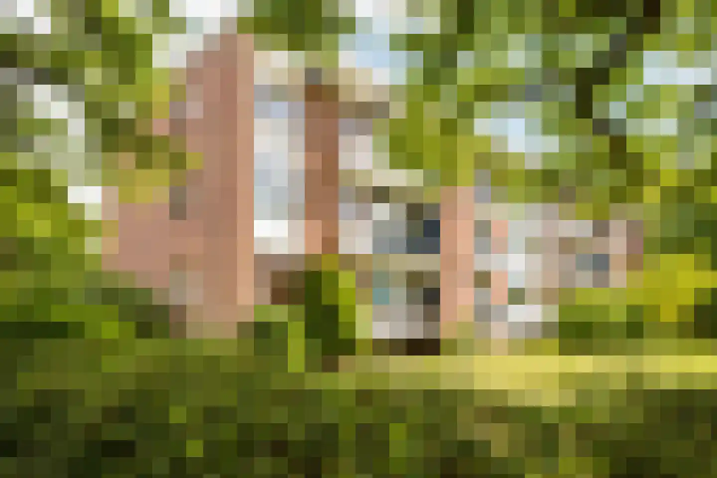 Steijnlaan 86 Breda thumbnail 46