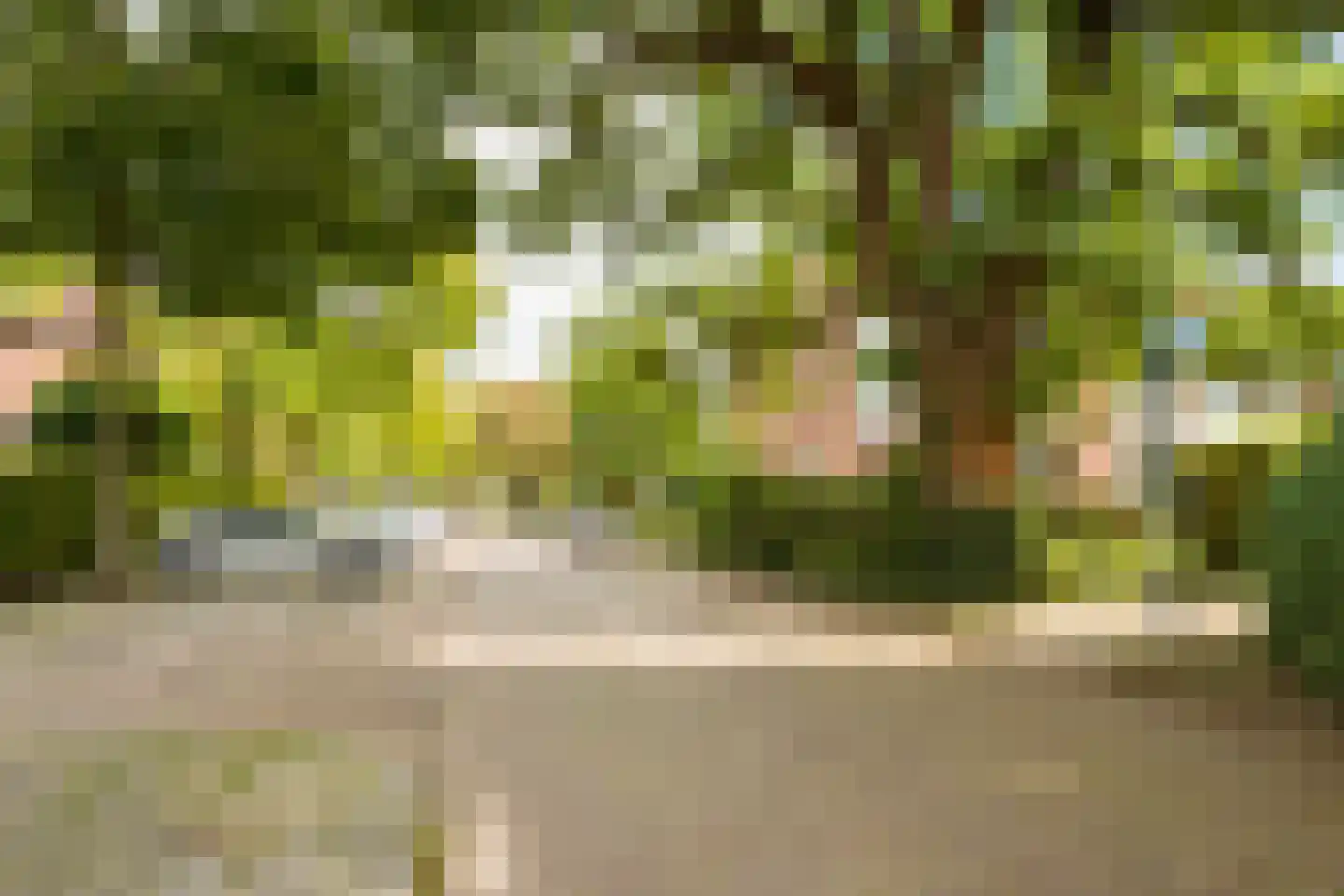 Steijnlaan 86 Breda thumbnail 47