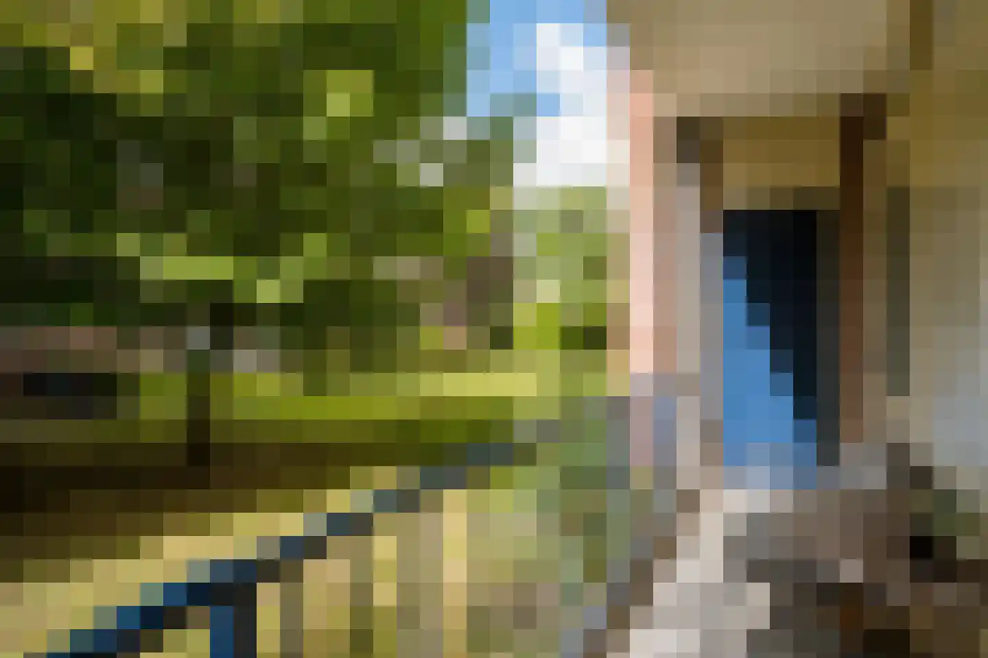Steijnlaan 86 Breda thumbnail 6