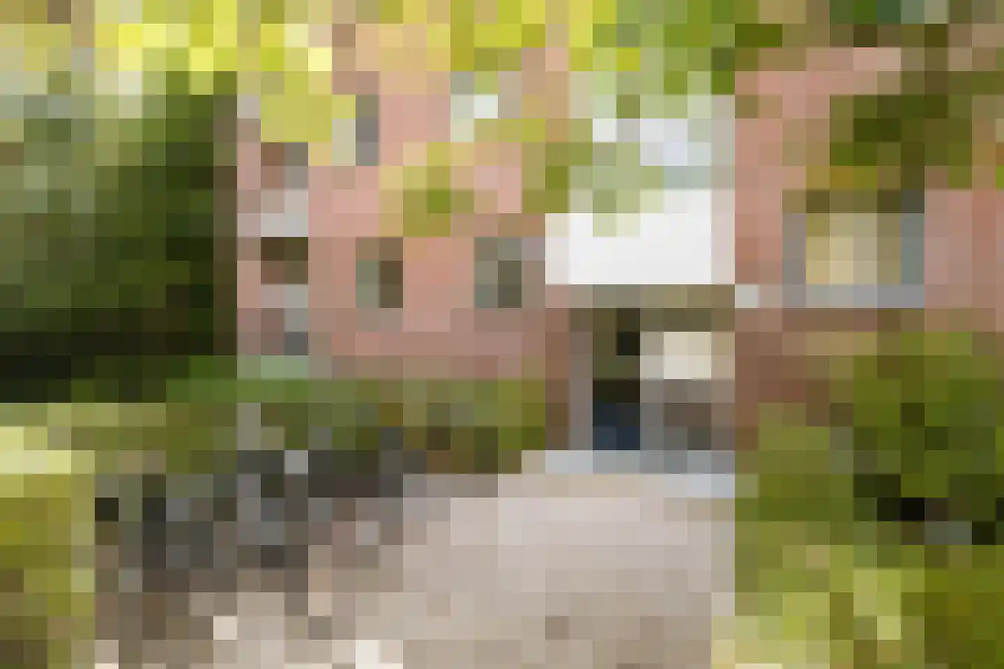 Steijnlaan 86 Breda thumbnail 8