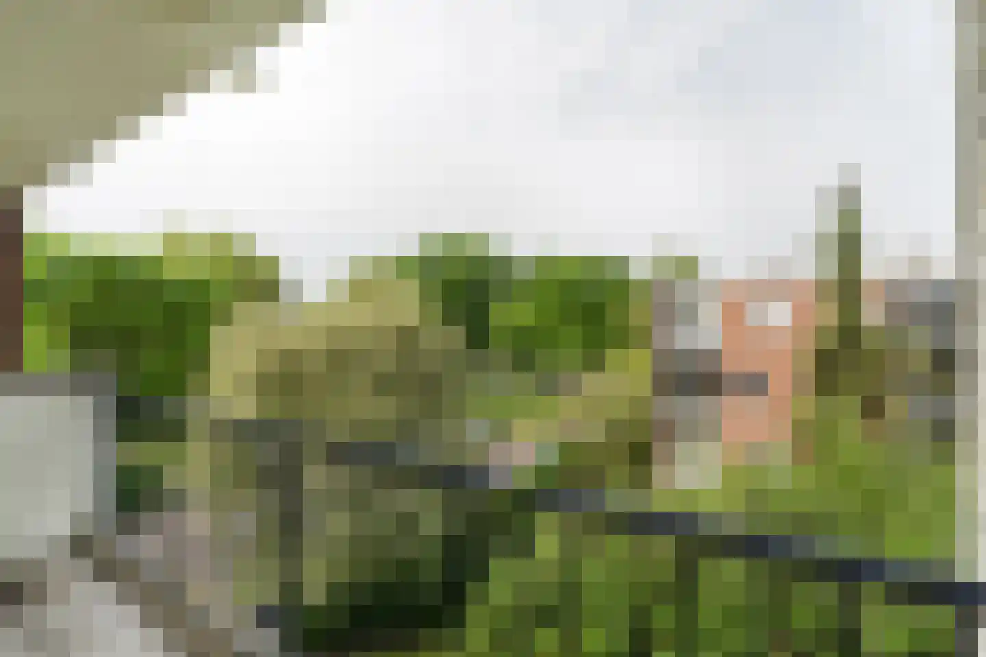 Steijnlaan 9 B Breda thumbnail 12
