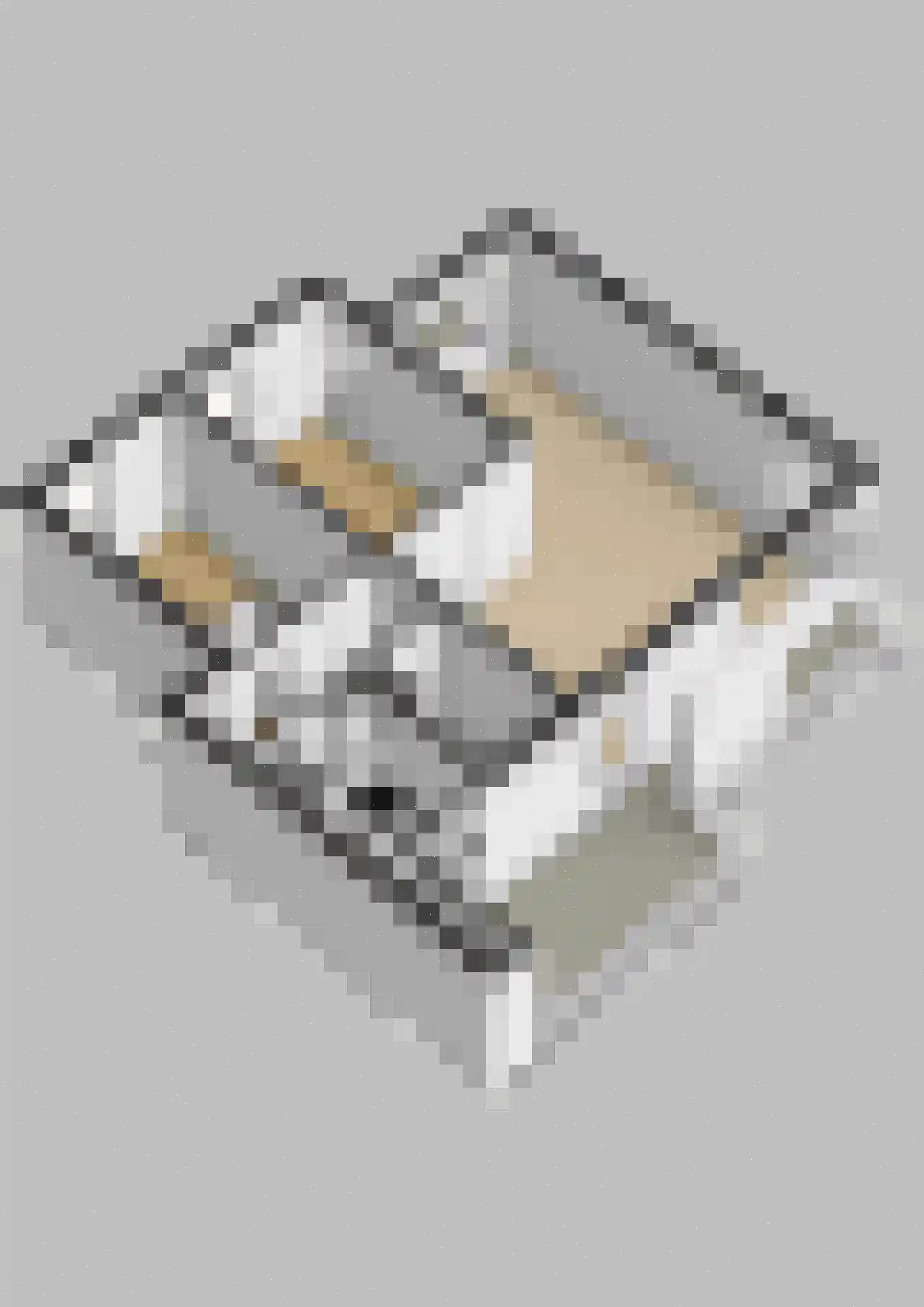 Steijnlaan 9 B Breda thumbnail 33