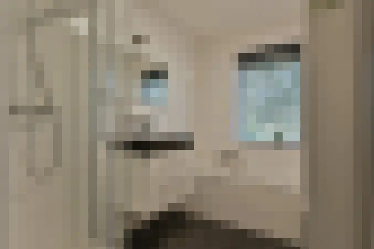 Steijnlaan 9 K Hilversum thumbnail 12