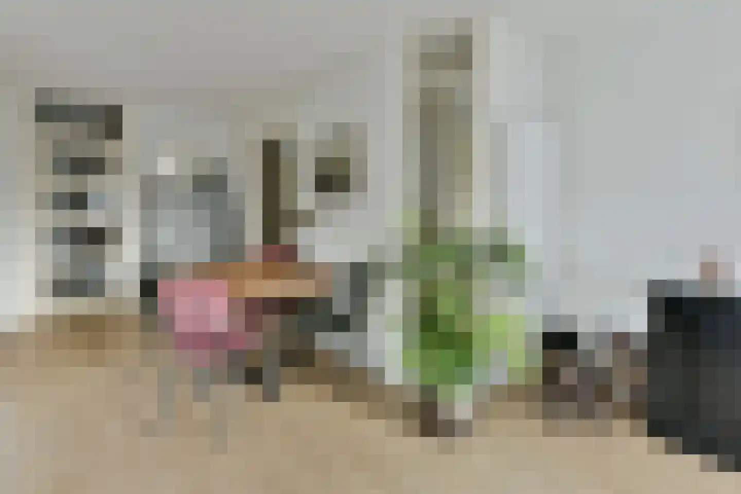 Steijnlaan 9 K Hilversum thumbnail 16