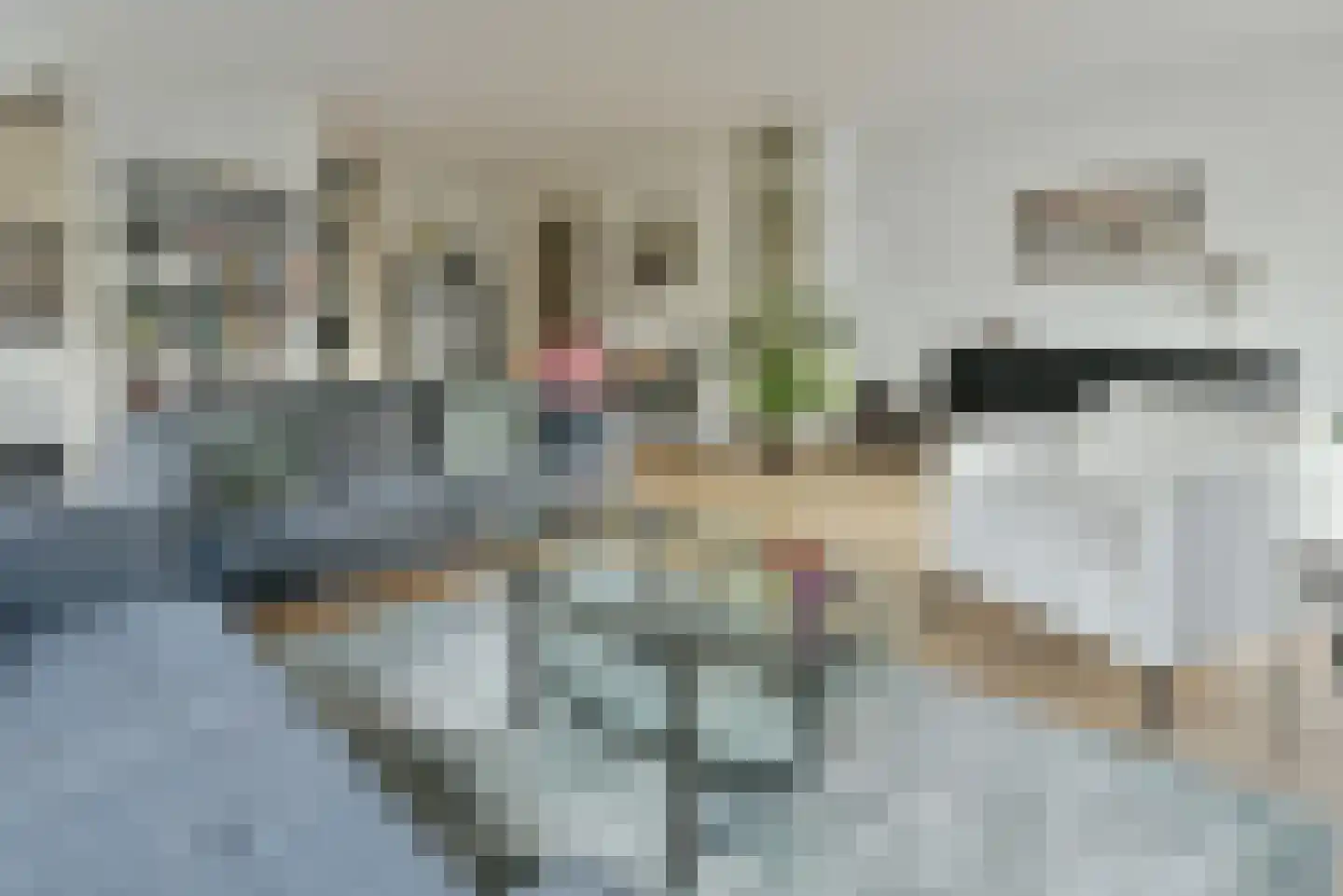 Steijnlaan 9 K Hilversum thumbnail 9