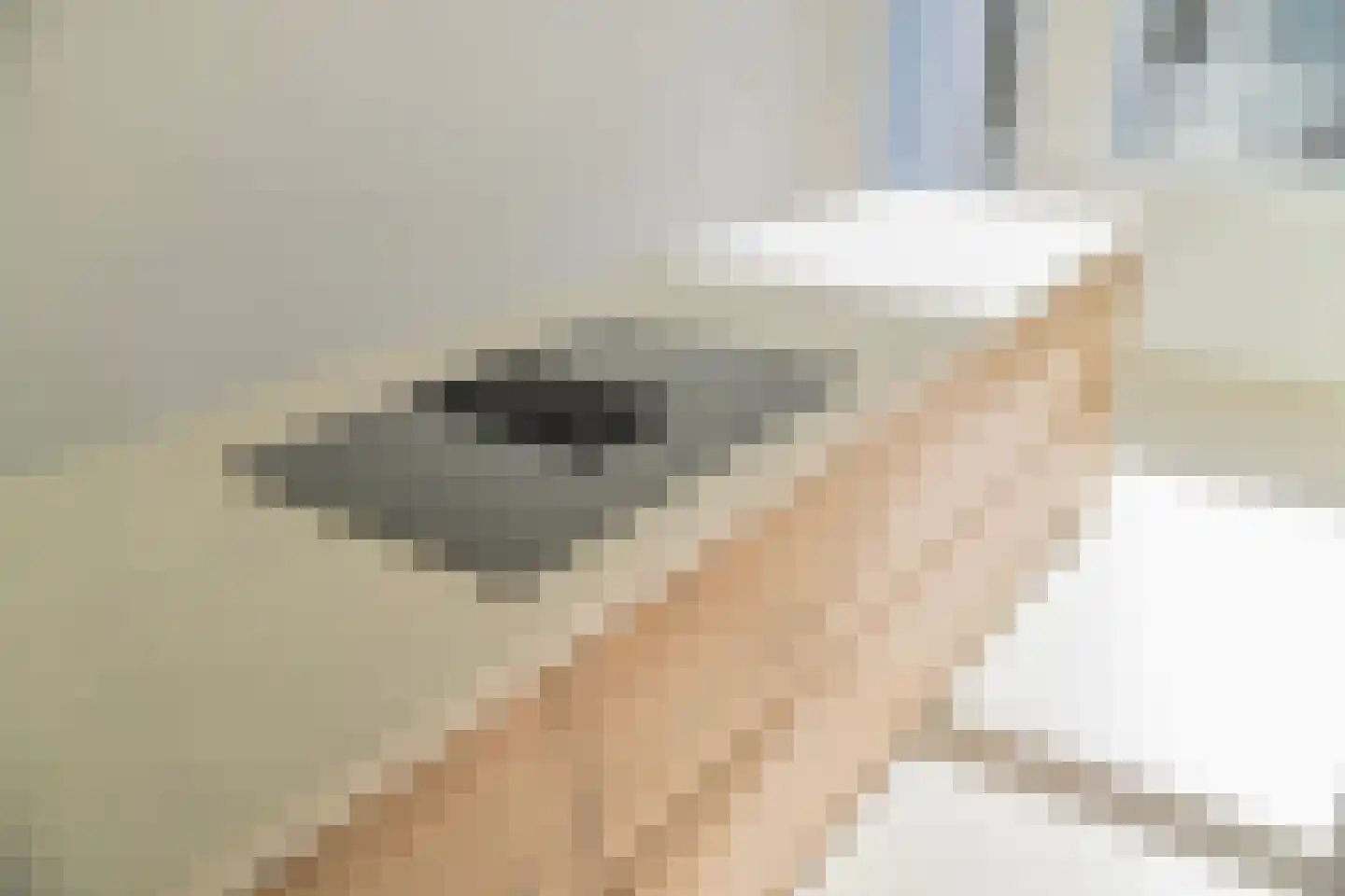 Steijnstraat 1 Alkmaar thumbnail 8