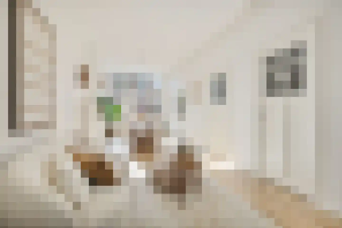 Steijnstraat 14 BS Utrecht thumbnail 17