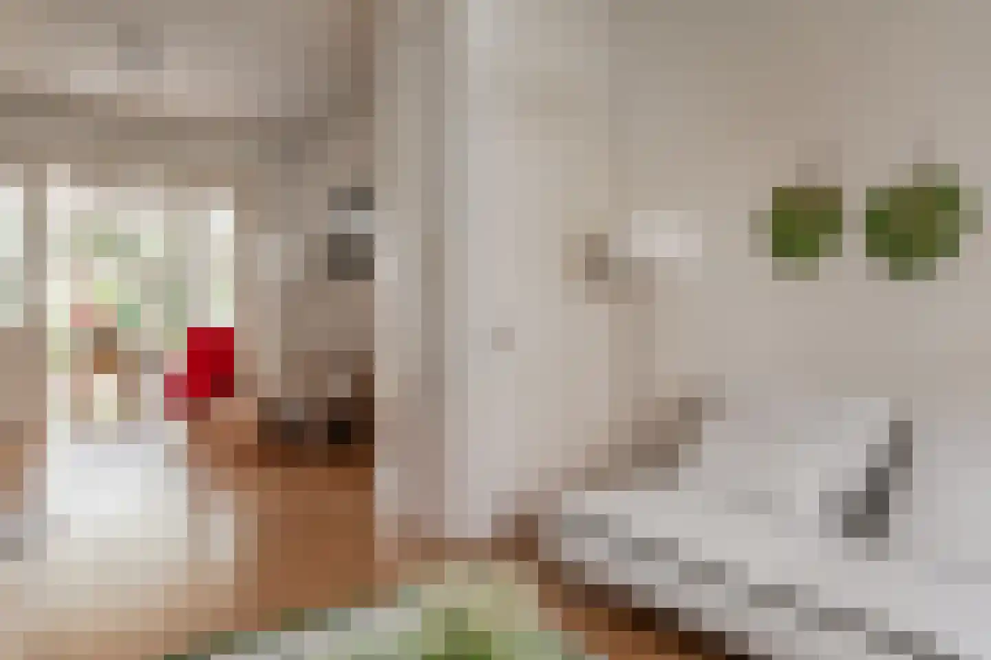 Steijnstraat 15 Alkmaar thumbnail 12