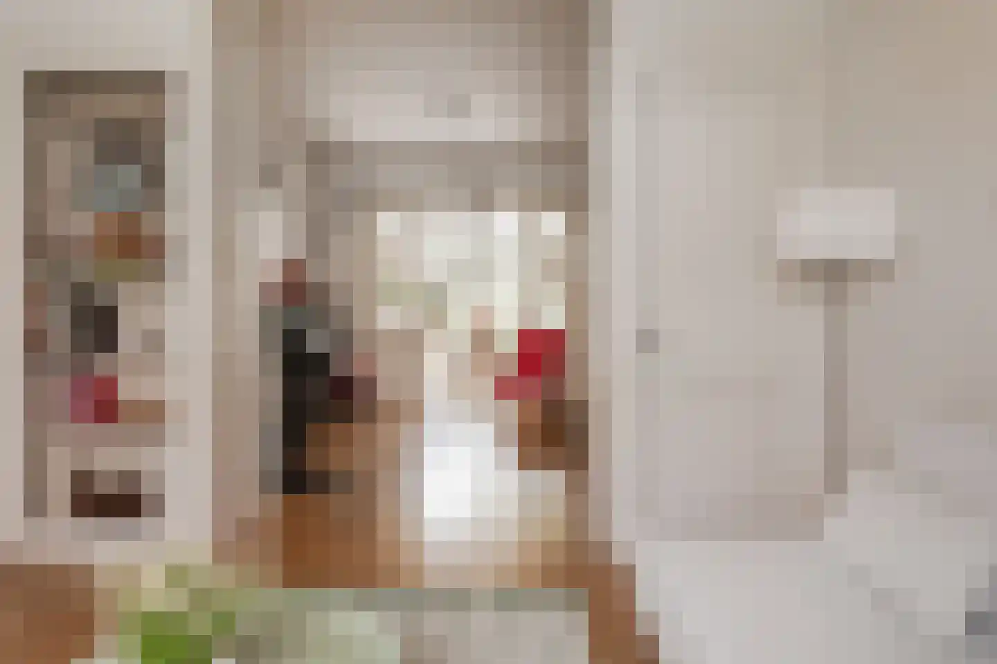 Steijnstraat 15 Alkmaar thumbnail 14