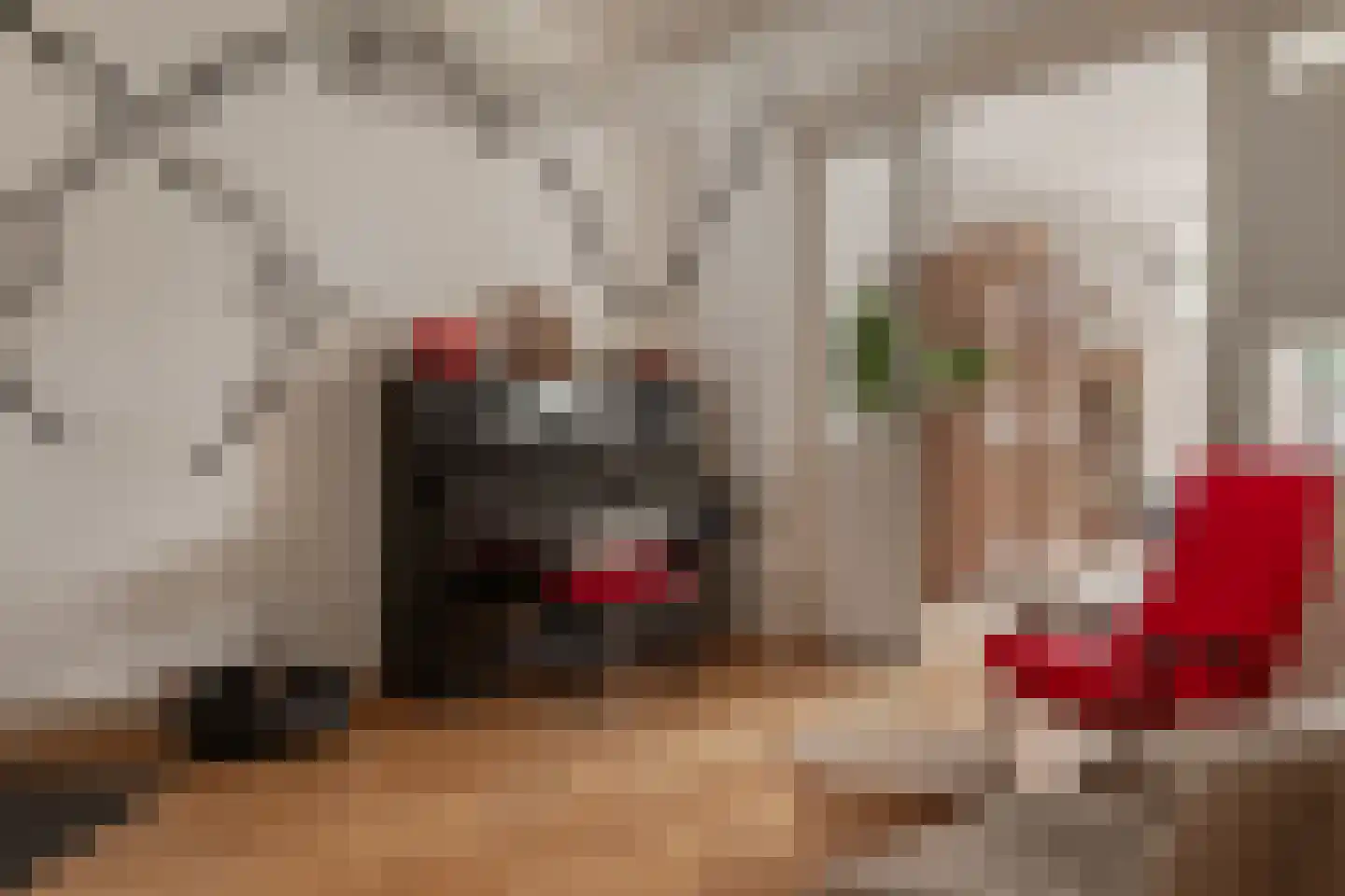 Steijnstraat 15 Alkmaar thumbnail 16