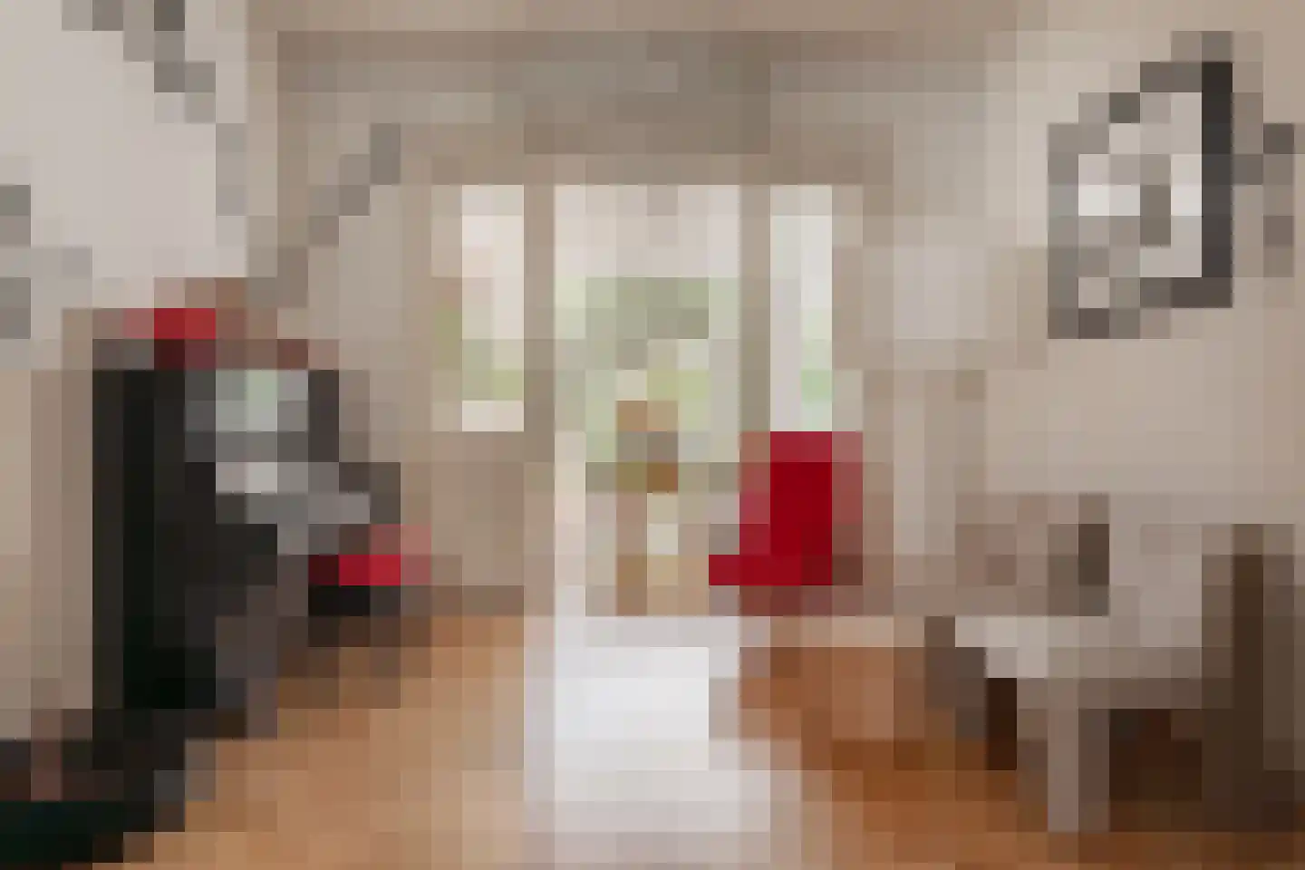 Steijnstraat 15 Alkmaar thumbnail 17