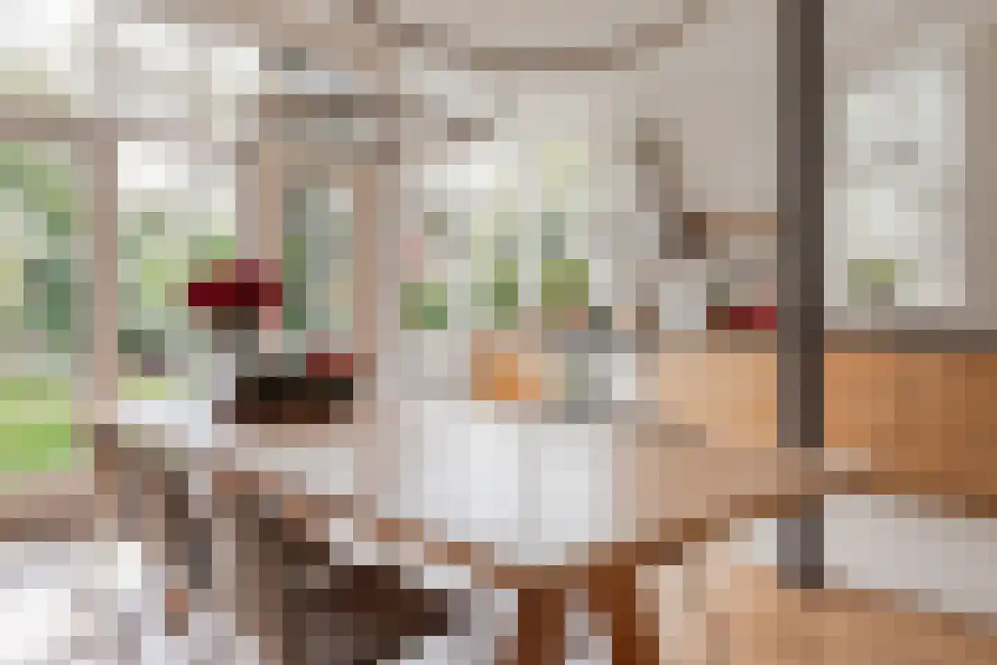 Steijnstraat 15 Alkmaar thumbnail 22