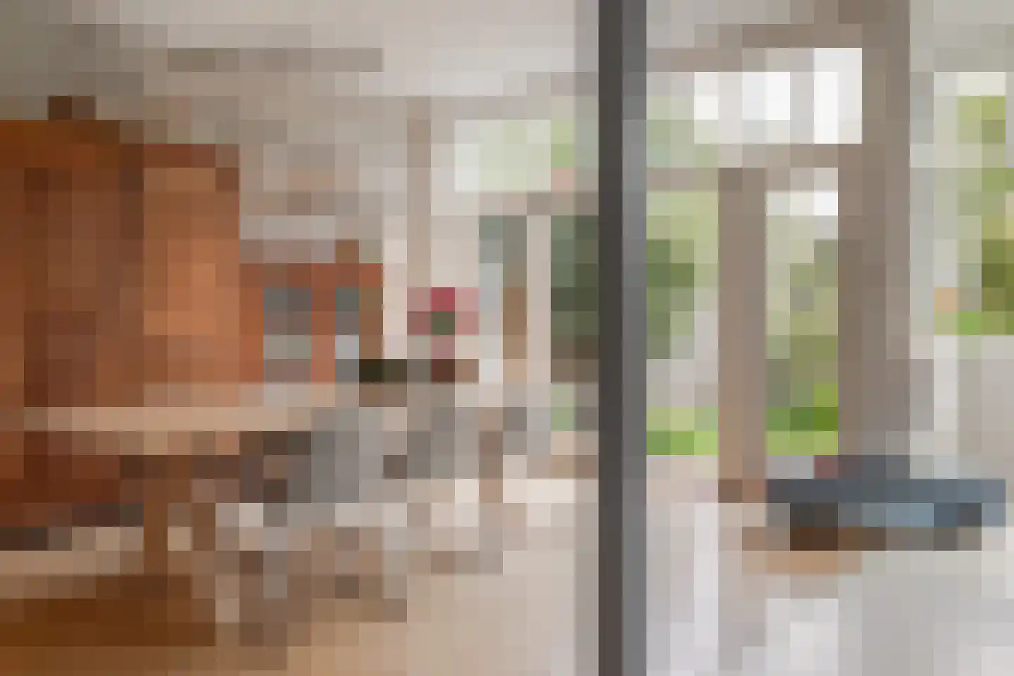 Steijnstraat 15 Alkmaar thumbnail 28