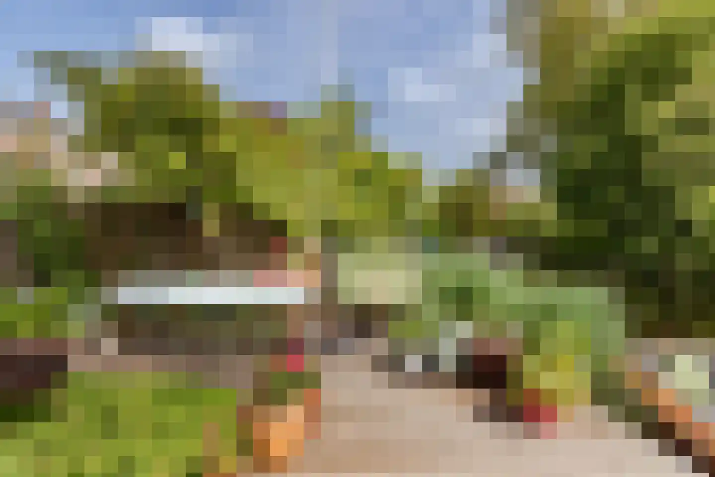 Steijnstraat 15 Alkmaar thumbnail 4