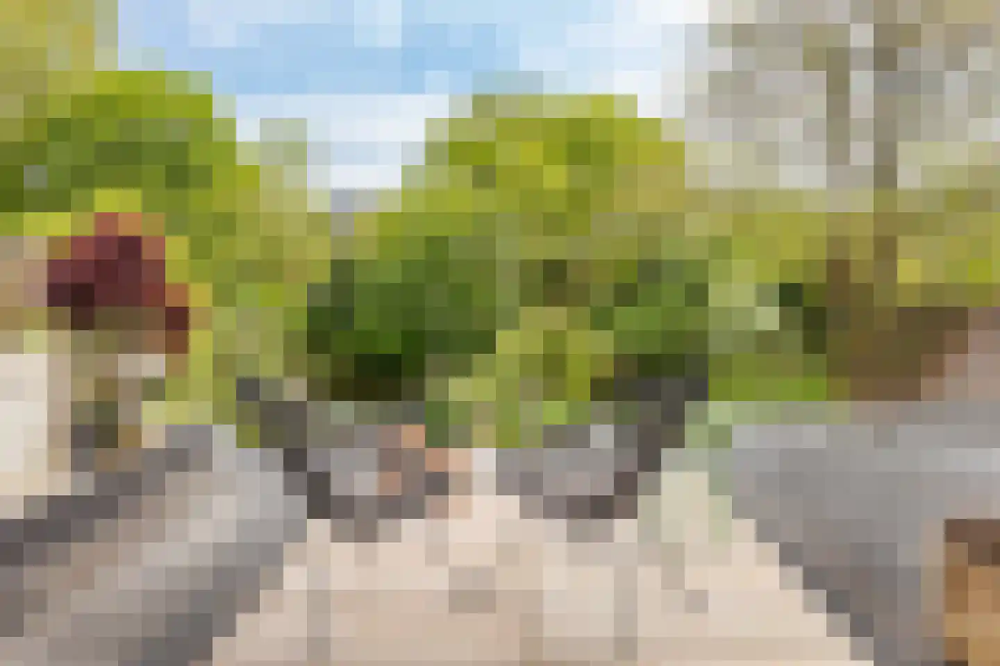 Steijnstraat 15 Alkmaar thumbnail 42