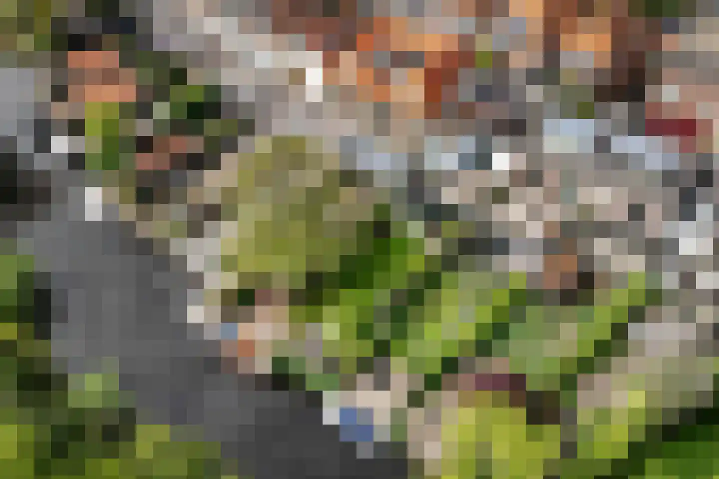 Steijnstraat 15 Alkmaar thumbnail 5