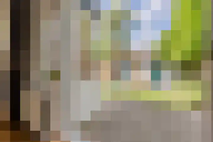 Steijnstraat 2 Alkmaar thumbnail 24