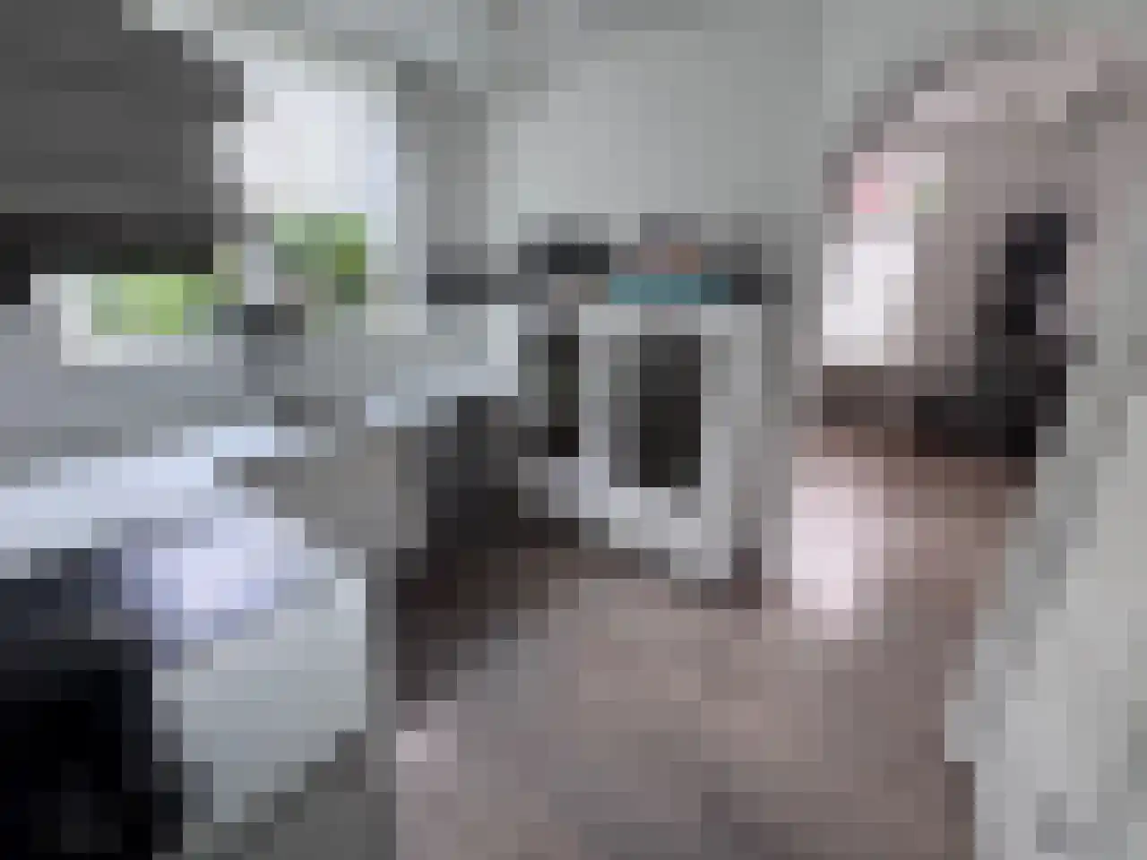 Steijnstraat 2 Wormerveer thumbnail 11