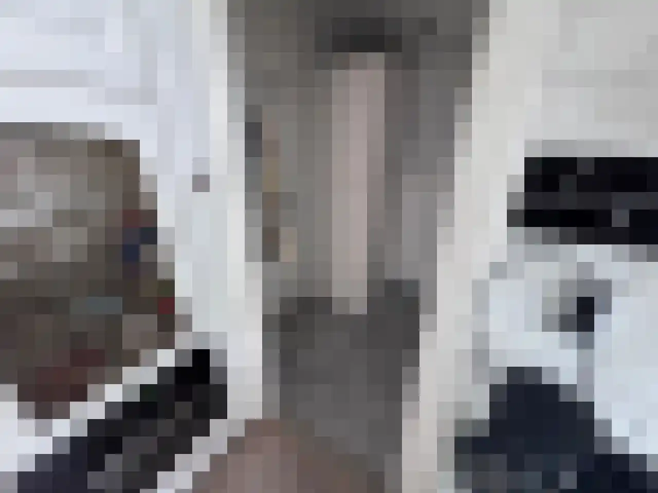 Steijnstraat 2 Wormerveer thumbnail 12