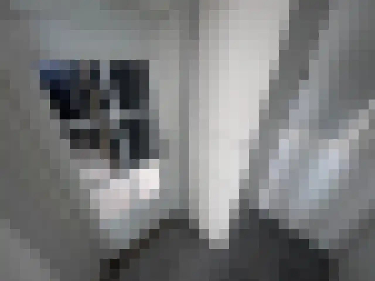 Steijnstraat 2 Wormerveer thumbnail 13