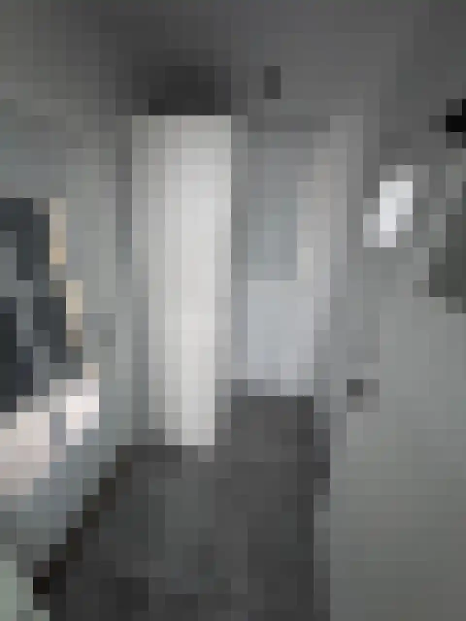 Steijnstraat 2 Wormerveer thumbnail 14