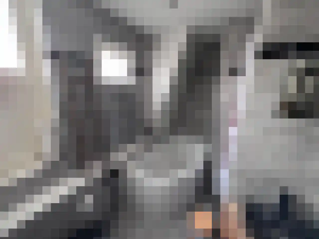 Steijnstraat 2 Wormerveer thumbnail 18