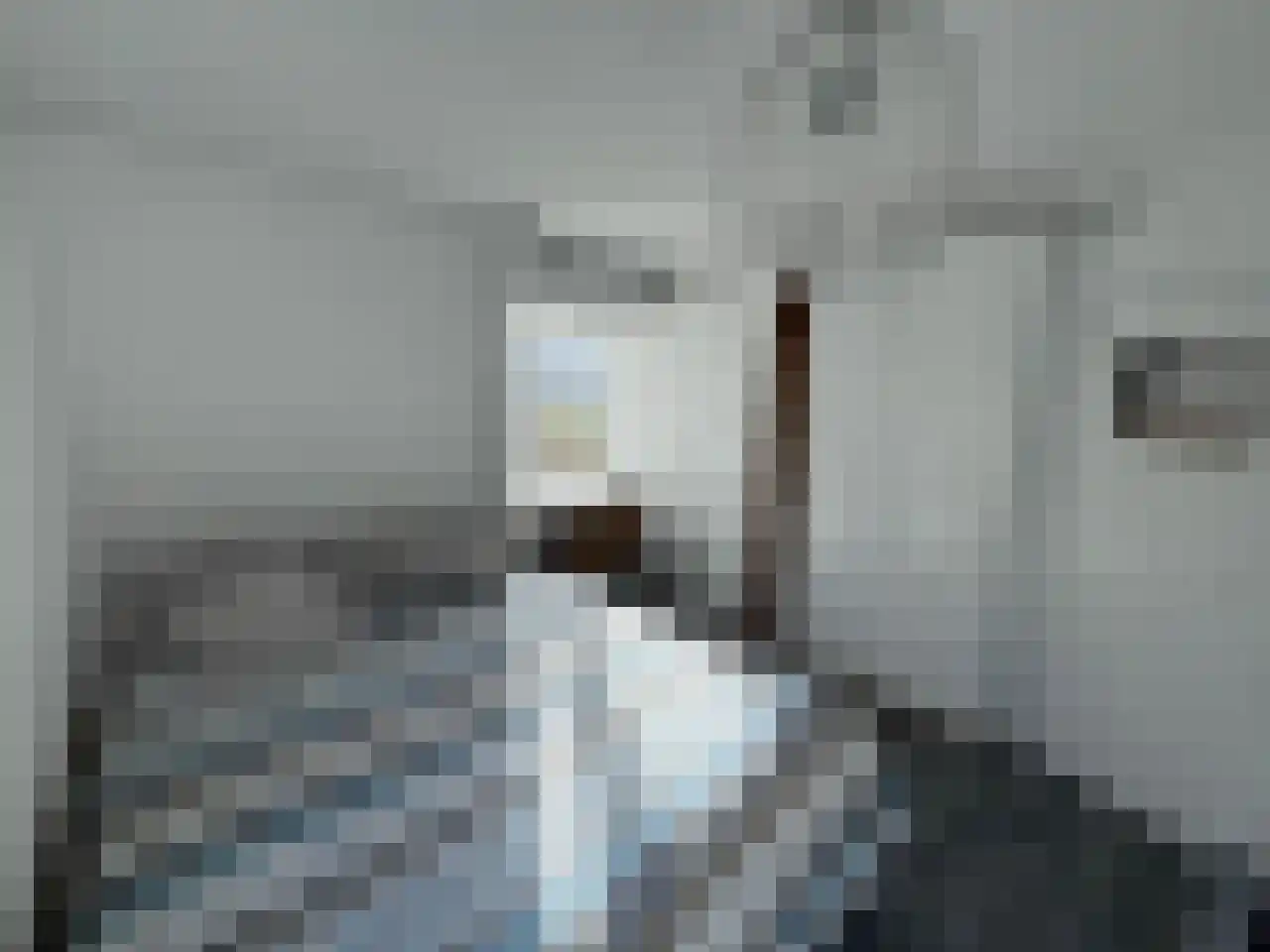Steijnstraat 2 Wormerveer thumbnail 25