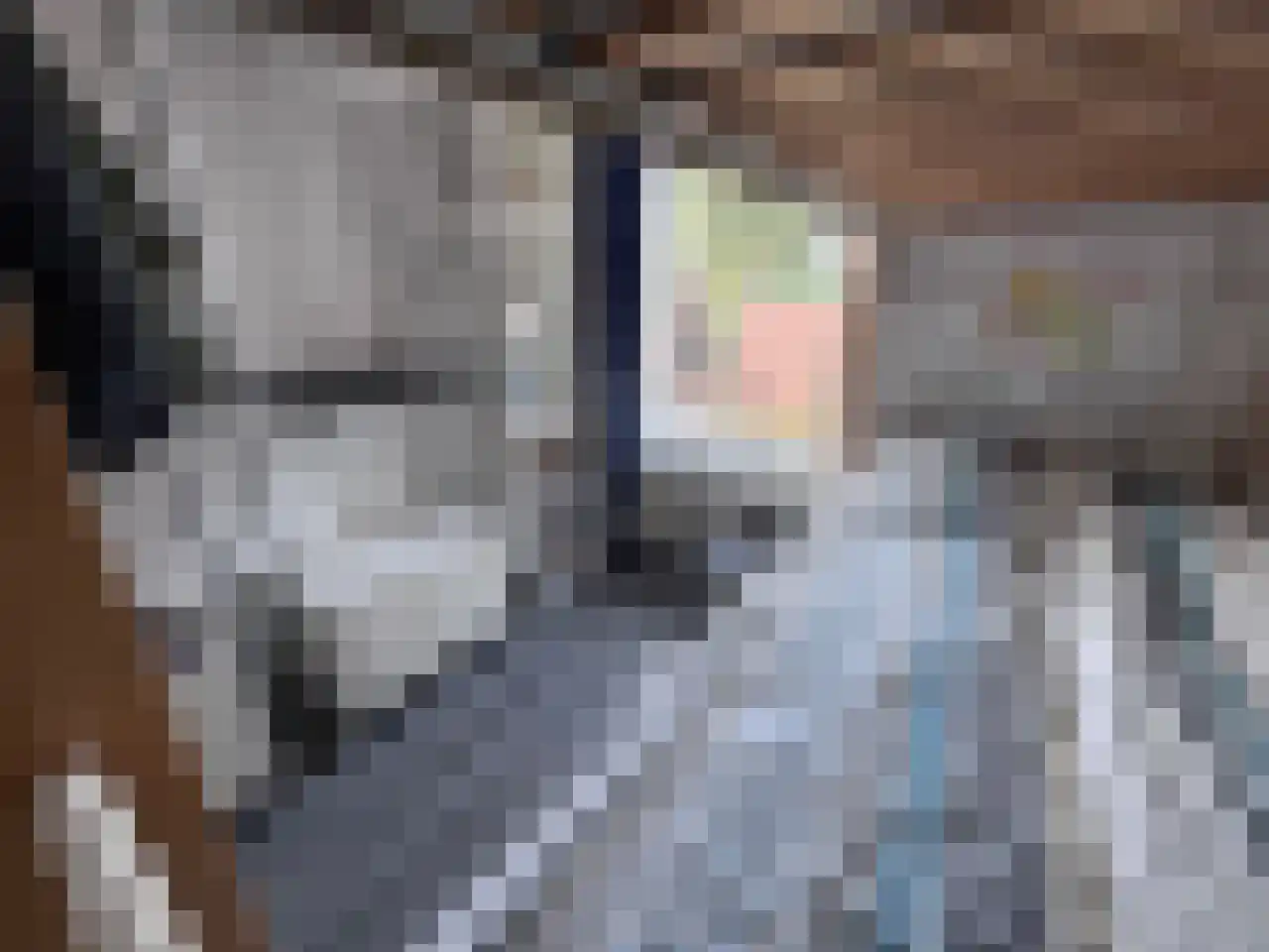 Steijnstraat 2 Wormerveer thumbnail 26