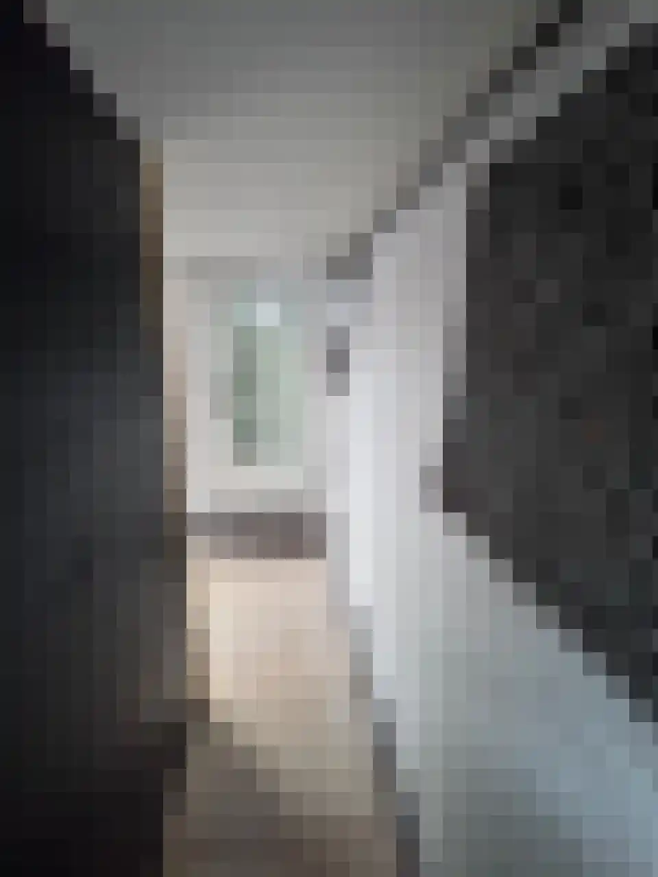 Steijnstraat 2 Wormerveer thumbnail 29